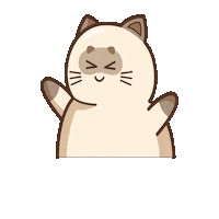 Excited Cat Sticker