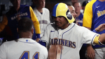 Major League Baseball Hug GIF by MLB