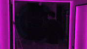 Catwalk Michel GIF by Big Brother 2021