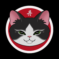 Cat Laugh GIF