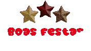 Natal Boasfestas Sticker
