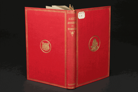 alice in wonderland book GIF by Harvard University
