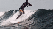 surf surfing GIF by MAJOR LAZER