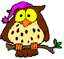 owl Sticker