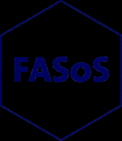 fasosmaastricht fasos fasosmaastricht GIF