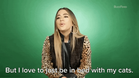 Ally Brooke Cat Person GIF by BuzzFeed