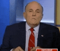 news rudy giuliani GIF