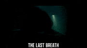 Shark Week Swim GIF by Signature Entertainment