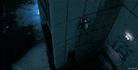 GIF by 20th Century Fox Home Entertainment
