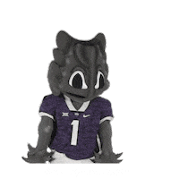 College Sports Mascots Sticker by College Colors Day