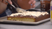 celebrity big brother reality tv GIF by Big Brother UK