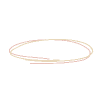 Floraslife0622 line circle handwriting 手寫 Sticker