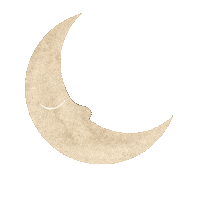 Moon Sticker by Lea