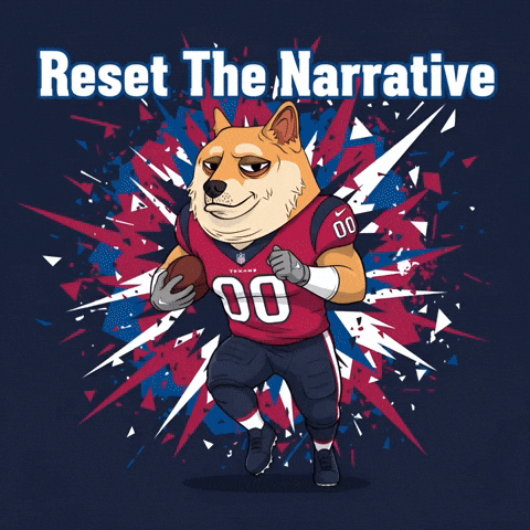 Shiba Inu Football GIF by Doge Pound