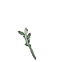 los angeles rainbow Sticker by Tayla Parx