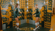 Volleyball GIF by NDSU Athletics