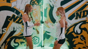 Volleyball Bison GIF by NDSU Athletics