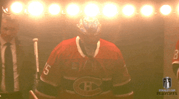 Happy Stanley Cup Playoffs GIF by NHL