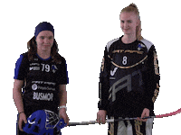 Floorball Salibandy Sticker by F-liiga