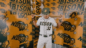 Dante Smith Baseball GIF by NDSU Athletics