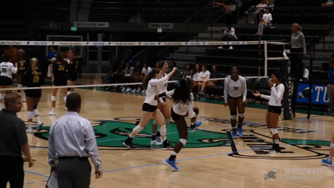 athletics volleyball GIF by GreenWave
