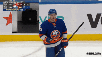 New York What GIF by NHL