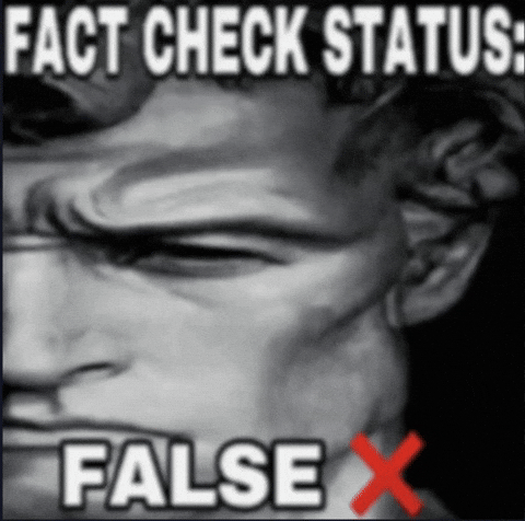 Fact Lying GIF