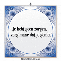 Nl Troost GIF by Tegelspreuken.nl