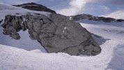 unreal GIF by EchoBoom Sports
