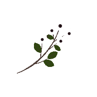 rallan-ai plants rallan Sticker