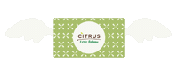 Delivery Box Sticker by Citrus