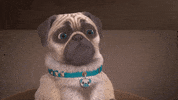 Fly Bug GIF by MightyMike