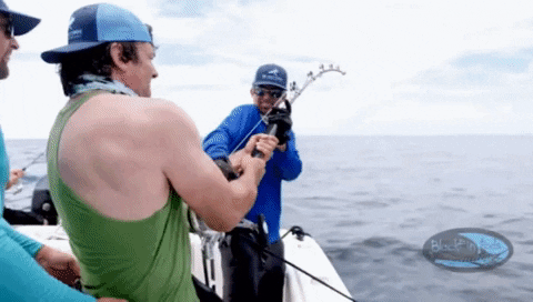 yj_jane giphygifmaker GIF