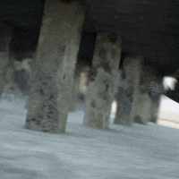 Parkour Running GIF by BRAVO READY