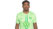 Football Pondering Sticker by VfL Wolfsburg
