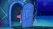 season 9 GIF by SpongeBob SquarePants
