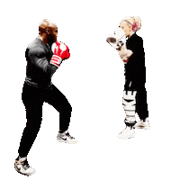 Shark Boxing Gloves Sticker by The Boxing Fitness Gym