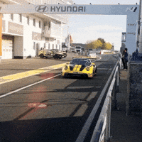 Racing Race GIF by Dunlop Tire NA