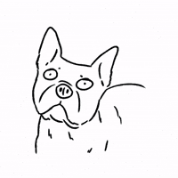 Scared Dog GIF by butpoorlydrawn
