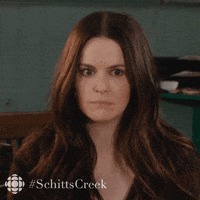 schitts creek no GIF by CBC