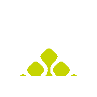 Monitoramento Florestas Sticker by Treevia - Forest Technologies