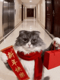 新年快樂 Twtwtw GIF