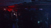 Tv Show Reaction GIF by LogoTV