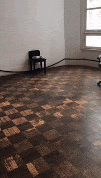 win GIF by Nibo 