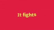 tankpr digital marketing pr public relations content marketing GIF