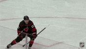 Happy Carolina Hurricanes GIF by NHL