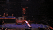 Trick Circus GIF by Ringling Bros. and Barnum & Bailey