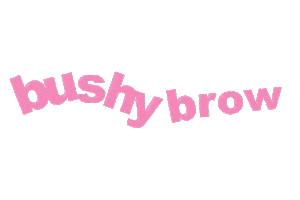 bushybrow Sticker by Lime Crime