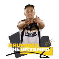 Super Rugby Act Sticker by BrumbiesRugby