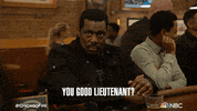 Episode 14 Nbc GIF by One Chicago